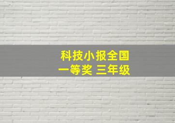 科技小报全国一等奖 三年级