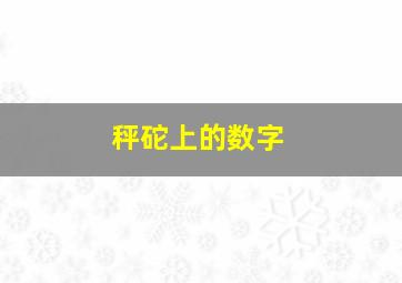 秤砣上的数字