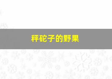 秤砣子的野果