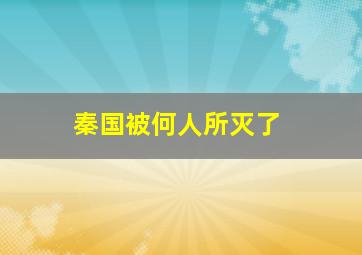 秦国被何人所灭了