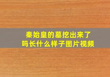 秦始皇的墓挖出来了吗长什么样子图片视频