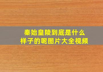 秦始皇陵到底是什么样子的呢图片大全视频