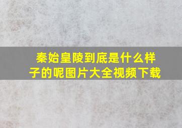 秦始皇陵到底是什么样子的呢图片大全视频下载