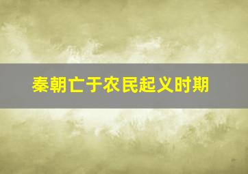 秦朝亡于农民起义时期