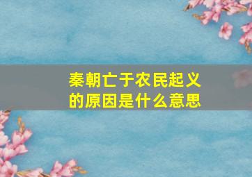 秦朝亡于农民起义的原因是什么意思