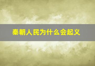 秦朝人民为什么会起义