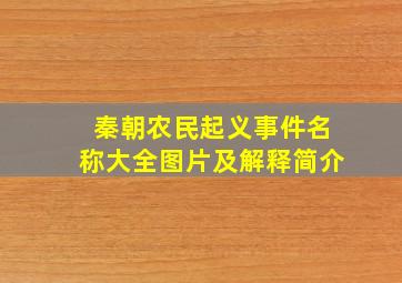 秦朝农民起义事件名称大全图片及解释简介