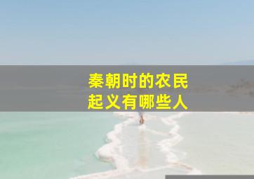 秦朝时的农民起义有哪些人