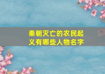 秦朝灭亡的农民起义有哪些人物名字