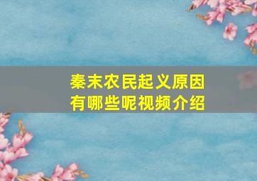 秦末农民起义原因有哪些呢视频介绍