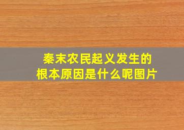 秦末农民起义发生的根本原因是什么呢图片