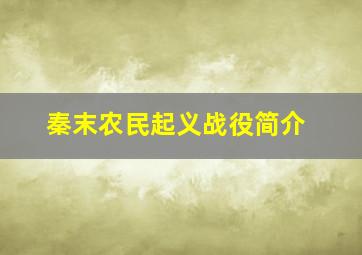 秦末农民起义战役简介