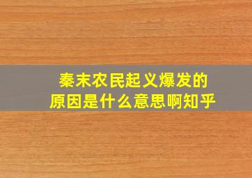 秦末农民起义爆发的原因是什么意思啊知乎