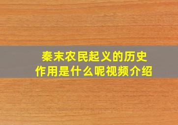 秦末农民起义的历史作用是什么呢视频介绍