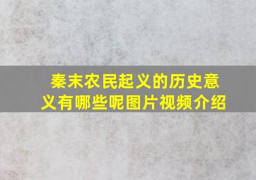 秦末农民起义的历史意义有哪些呢图片视频介绍