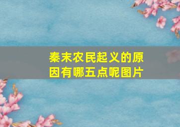 秦末农民起义的原因有哪五点呢图片