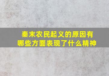 秦末农民起义的原因有哪些方面表现了什么精神