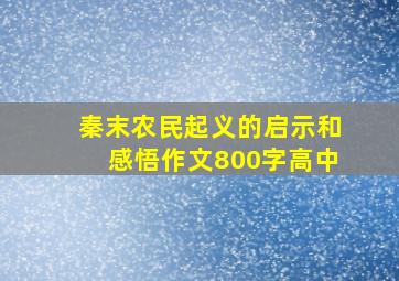 秦末农民起义的启示和感悟作文800字高中