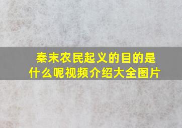 秦末农民起义的目的是什么呢视频介绍大全图片