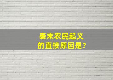 秦末农民起义的直接原因是?