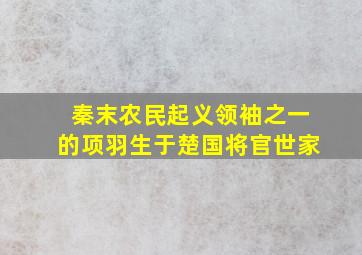 秦末农民起义领袖之一的项羽生于楚国将官世家