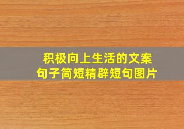 积极向上生活的文案句子简短精辟短句图片