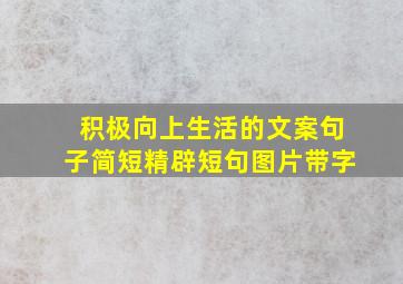 积极向上生活的文案句子简短精辟短句图片带字