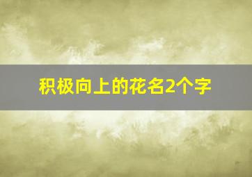 积极向上的花名2个字