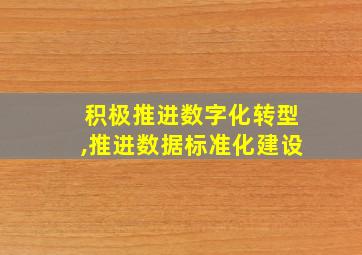 积极推进数字化转型,推进数据标准化建设