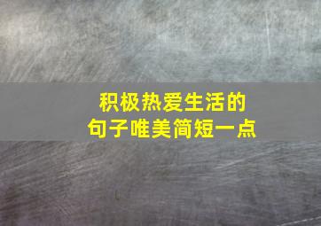 积极热爱生活的句子唯美简短一点