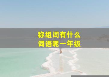 称组词有什么词语呢一年级