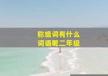 称组词有什么词语呢二年级