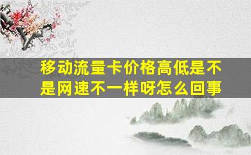 移动流量卡价格高低是不是网速不一样呀怎么回事