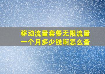 移动流量套餐无限流量一个月多少钱啊怎么查