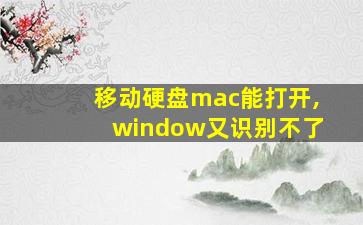 移动硬盘mac能打开,window又识别不了