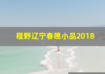 程野辽宁春晚小品2018