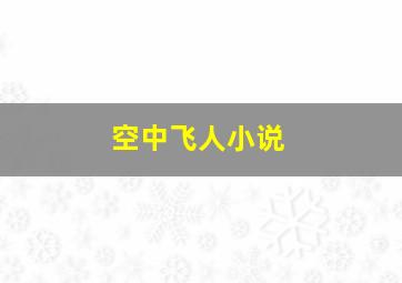 空中飞人小说