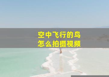 空中飞行的鸟怎么拍摄视频