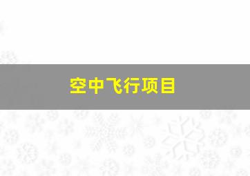 空中飞行项目