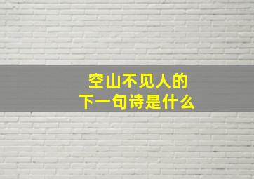 空山不见人的下一句诗是什么