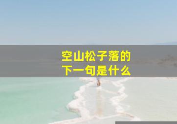 空山松子落的下一句是什么