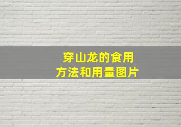 穿山龙的食用方法和用量图片