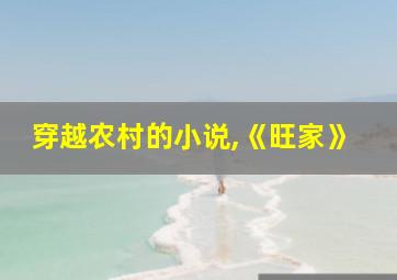 穿越农村的小说,《旺家》