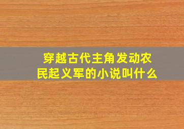 穿越古代主角发动农民起义军的小说叫什么