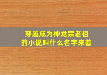 穿越成为神龙宗老祖的小说叫什么名字来着