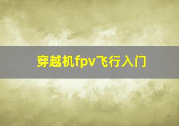 穿越机fpv飞行入门