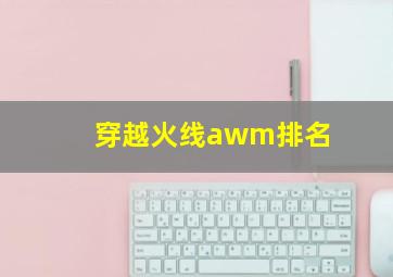 穿越火线awm排名