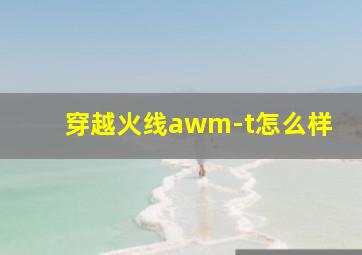 穿越火线awm-t怎么样