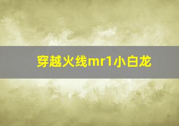 穿越火线mr1小白龙