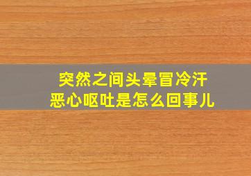 突然之间头晕冒冷汗恶心呕吐是怎么回事儿